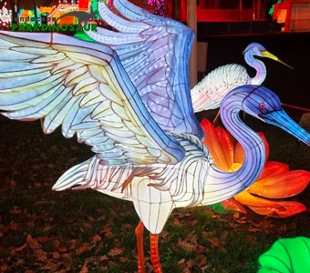 Lantern Light Festival