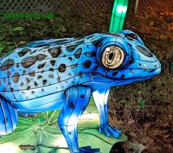 Festival Decoration Lantern Frog
