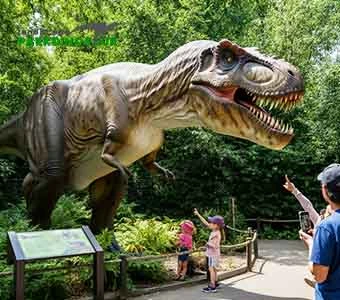 Realistic Giant Dinosaur Model T-rex